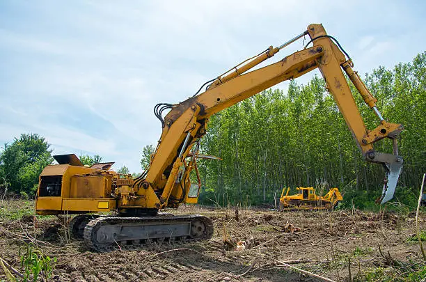 A tracked excavator working in a forest, highlighting Earthworks Hawkes Bay's ability to handle large-scale land clearing.