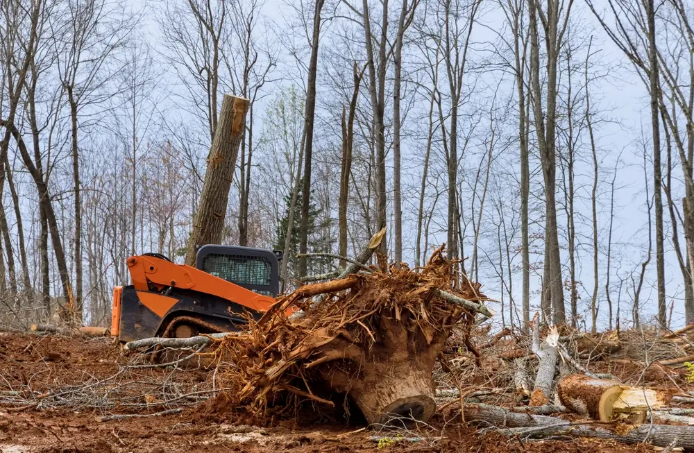 Heavy equipment clearing fallen trees and debris, emphasizing Earthworks Hawkes Bay’s land clearing expertise.